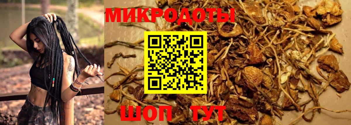 Галлюциногенные грибы мицелий Маркс