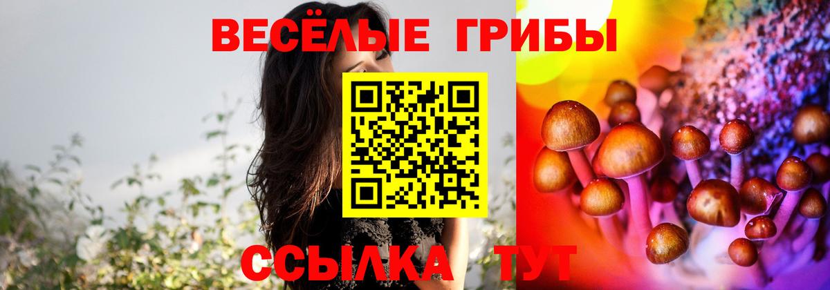 Маркс  Псилоцибиновые грибы Psilocybine cubensis  Вход с VPN 